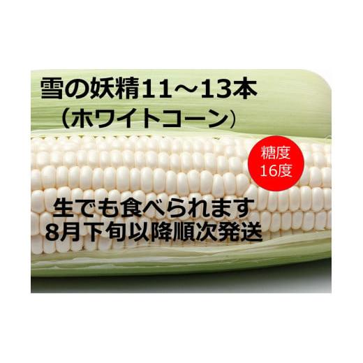 ふるさと納税 北海道 池田町 訳あり　北海道　雪の妖精（ホワイトコーン）11〜13本入り　とうもろこ...