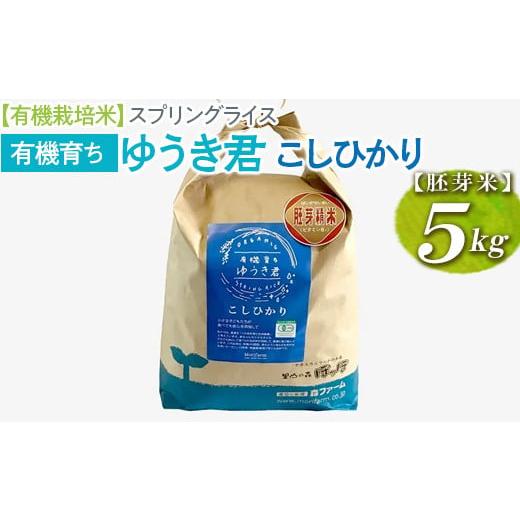 ふるさと納税 茨城県 古河市 【有機栽培米】スプリングライス 有機育ち ゆうき君 こしひかり (胚芽...