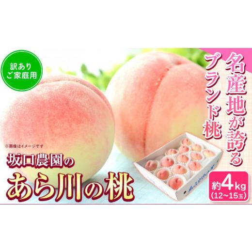 ふるさと納税 もも 和歌山県 紀の川市 桃 あら川の桃 訳あり ご家庭用 4kg 坂口農園《2026...