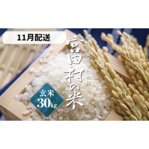 ふるさと納税 長野県 宮田村 【予約受付】【令和６年米】【新米】長野県産　減農薬栽培コシヒカリ／玄米／30kg・23,000円／11月配送 玄米／30kg・23,000円／11…