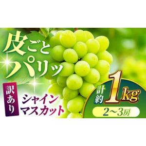 ふるさと納税 熊本県 山鹿市 【先行予約】【数量限定】【訳あり】シャインマスカット 約1kg(2〜3房)【合同会社 社方園】 [ZBZ028]