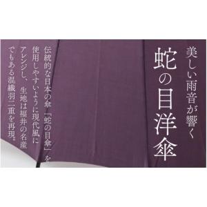 ふるさと納税 ファッション 福井県 福井市 蛇...の詳細画像2