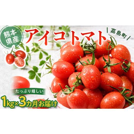 ふるさと納税 熊本県 嘉島町 FKK19-872 【3カ月定期】嘉島町産アイコトマト1kg