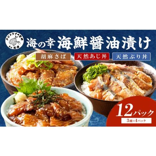 ふるさと納税 魚貝類 長崎県 松浦市 ＼父の日／ 流水解凍だけの簡単調理 まんぷく海鮮醤油漬けセット...