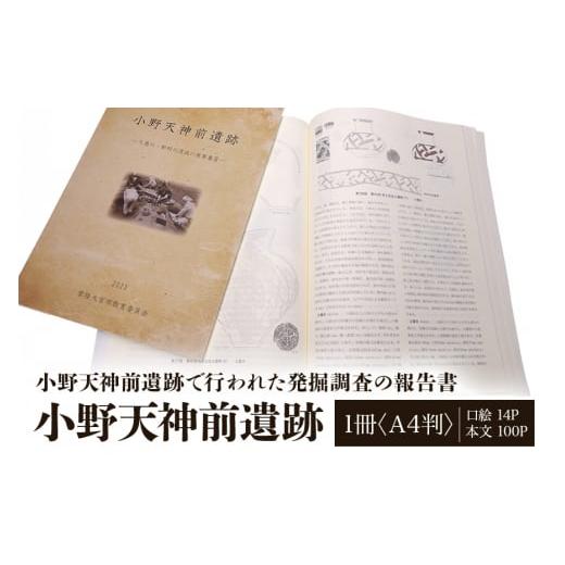 ふるさと納税 茨城県 常陸大宮市 No.824 小野天神前遺跡　1冊 ／ Ａ4判 無線綴じ 発掘調査...