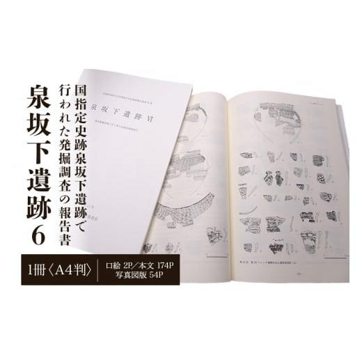 ふるさと納税 茨城県 常陸大宮市 No.827 泉坂下遺跡6　1冊 ／ Ａ4判 あじろ綴じ 国指定史...