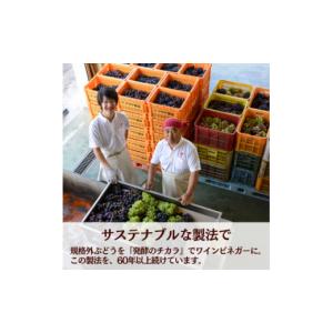 ふるさと納税 たれ・ドレッシング・酢 山梨県 ...の詳細画像4