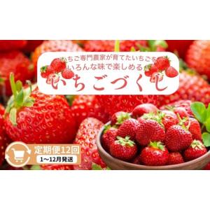 ふるさと納税 いちご 新潟県 上越市 定期便 ...の詳細画像1