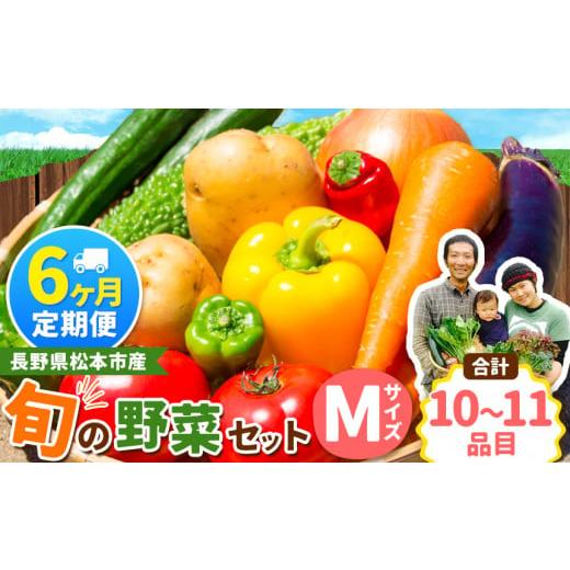 ふるさと納税 長野県 松本市 【定期便6回】子育て農家の野菜セット（Mサイズ）農薬・化学肥料不使用 ...