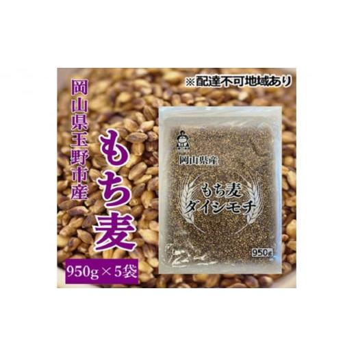 ふるさと納税 岡山県 玉野市 岡山県玉野市産 もち麦 ダイシモチ 950g×5袋