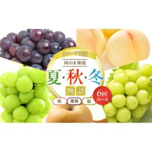 ふるさと納税 もも 岡山県 玉野市 フルーツ 定期便 2026年 先行予約 フルーツ王国 岡山を堪能 6回コース 夏・秋・冬物語 桃 もも 葡萄 ぶどう 梨 なし岡山県産…