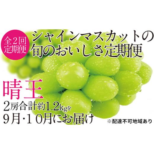 ふるさと納税 岡山県 玉野市 ぶどう 2024年 先行予約 9月・10月発送 シャイン マスカット ...