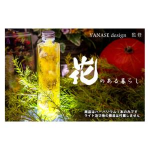 ふるさと納税 インテリア・絵画 北海道 芦別市 ハーバリウム yellow 花季 YANASEdesign. 黄 ハーバリウムオイル 瓶 オイル 花 おしゃれ かわいい シンプル イ…