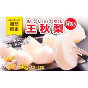 ふるさと納税 梨 鳥取県 鳥取市 訳あり 王秋...の詳細画像1