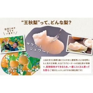 ふるさと納税 梨 鳥取県 鳥取市 訳あり 王秋...の詳細画像2