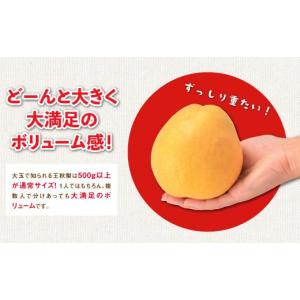 ふるさと納税 梨 鳥取県 鳥取市 訳あり 王秋...の詳細画像3