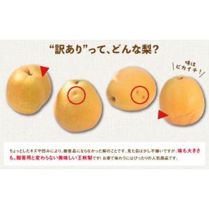 ふるさと納税 梨 鳥取県 鳥取市 訳あり 王秋...の詳細画像4