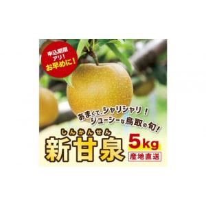 ふるさと納税 梨 鳥取県 鳥取市 新甘泉 5キロ 安田農園