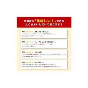 ふるさと納税 梨 鳥取県 鳥取市 新甘泉 5キ...の詳細画像2
