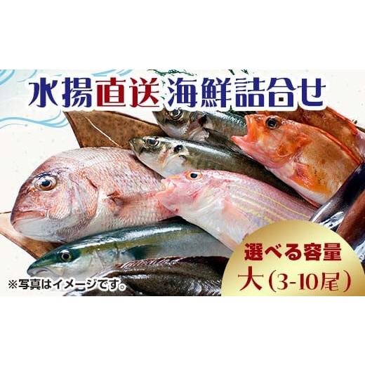 ふるさと納税 旬の鮮魚等 青森県 中泊町 中泊水揚直送 海鮮詰合せ 大 （3〜10尾程度） 下処理済...