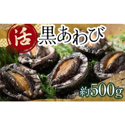 ふるさと納税 魚貝類 アワビ 青森県 中泊町 中泊直送 天然 ”活” 黒あわび 約500g 卓立水産...