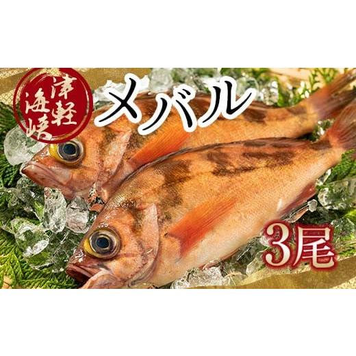 ふるさと納税 旬の鮮魚等 青森県 中泊町 小泊港水揚げ 津軽海峡メバル 姿3尾 下処理済み 卓立水産...
