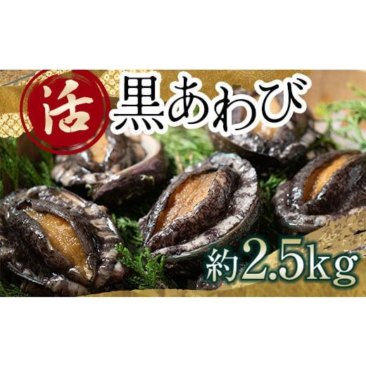 ふるさと納税 魚貝類 アワビ 青森県 中泊町 中泊直送 天然 ”活” 黒あわび 約2.5kg 卓立水...