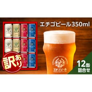ビール ふるさと納税 泉佐野市 KIX BEER(ヴァイツェン) 樽10L クラフトビール