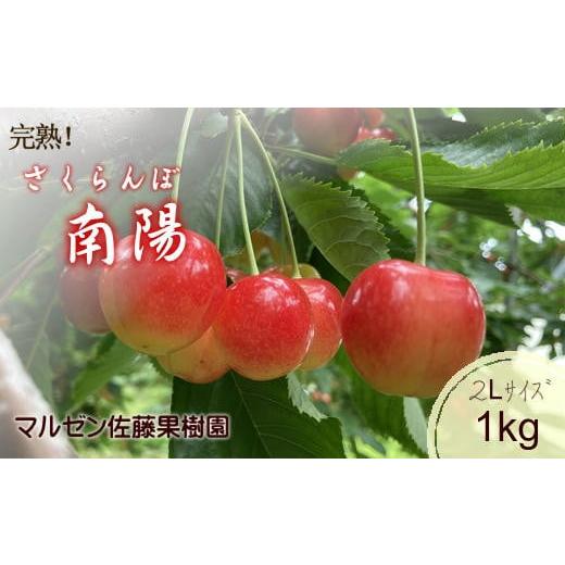 ふるさと納税 果物類 さくらんぼ 北海道 増毛町 7-015-008 完熟さくらんぼ 南陽(2L)1...