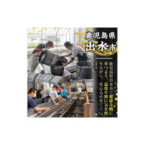 ふるさと納税 うなぎ 鹿児島県 出水市 i93...の詳細画像3