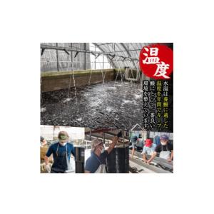 ふるさと納税 うなぎ 鹿児島県 出水市 i93...の詳細画像4