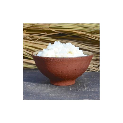 ふるさと納税 陶磁器・漆器・ガラス 千葉県 館山市 あわ焼 ごはん茶碗 1客 1486724