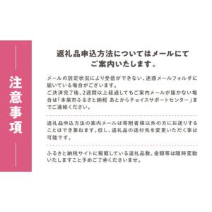 ふるさと納税 家具 岐阜県 本巣市 あとからチ...の詳細画像4