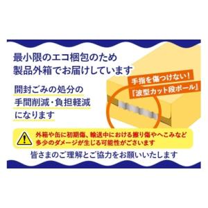 ふるさと納税 ビール 群馬県 板倉町 定期便1...の詳細画像3