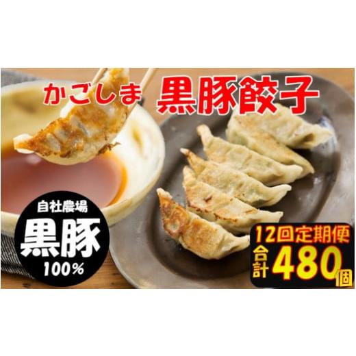 ふるさと納税 餃子 鹿児島県 薩摩川内市 JS-110 12回定期便 かごしま黒豚餃子 合計480個...