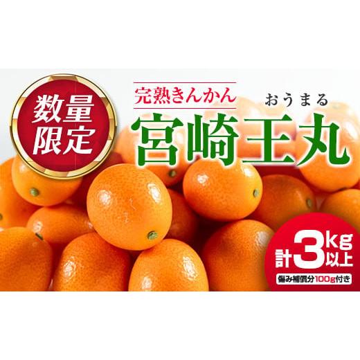 ふるさと納税 宮崎県 日南市 数量限定 完熟 きんかん 宮崎王丸 計3kg以上 傷み補償分100g付...