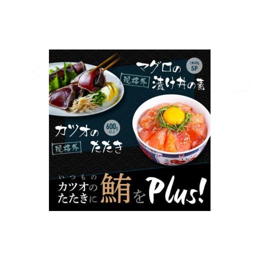 ふるさと納税 高知県 高知市 規格外カツオたたき 約600g＋マグロ漬け丼の素 約80g×5パック