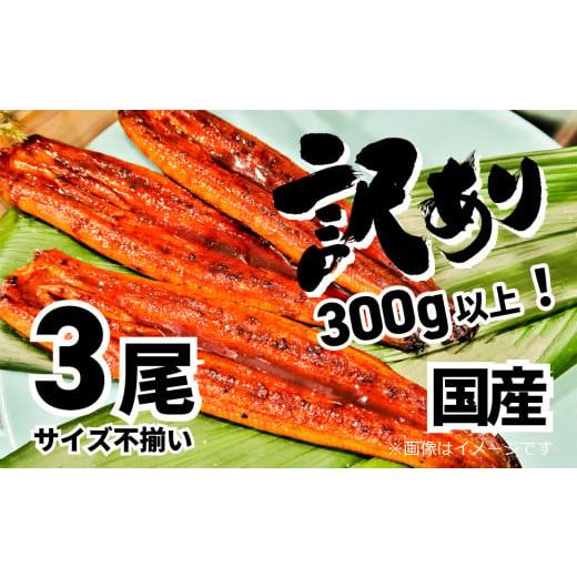 ふるさと納税 茨城県 境町 K1804 〈2024年8月発送〉【訳あり】さかい河岸水産の国産うなぎ３...