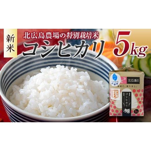 ふるさと納税 米 コシヒカリ 広島県 北広島町 北広島農場 特別栽培米 コシヒカリ 精米5kg 20...