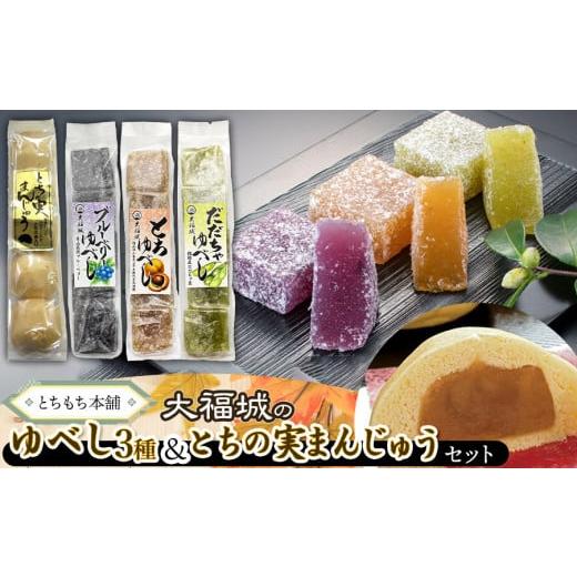 ふるさと納税 和菓子 和菓子セット・詰め合わせ 山形県 鶴岡市 とちもち本舗　大福城のゆべし・とちの...