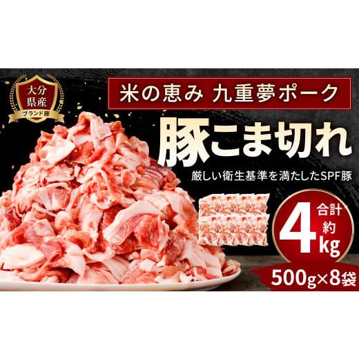 ふるさと納税 大分県 豊後大野市 027-1056 【数量限定】大分県産 ブランド豚「米の恵み 九重...