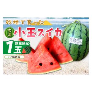 ふるさと納税 スイカ 京都府 京丹後市  先行予約／数量限定100 にしまるスイカ 秀品 1玉入り（ハウス栽培）（2026年6月中旬から発送）　FR00008
