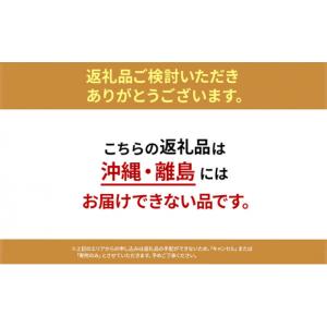 ふるさと納税 雑貨・日用品 愛知県 日進市 イ...の詳細画像2