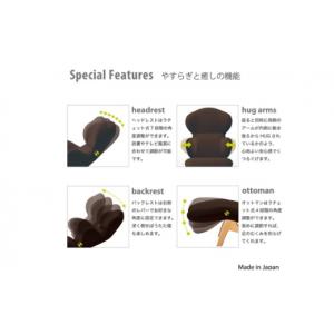 ふるさと納税 雑貨・日用品 愛知県 日進市 イ...の詳細画像4