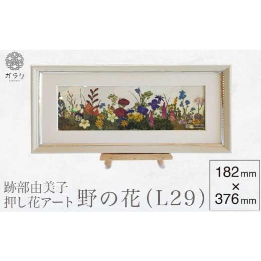 ふるさと納税 長野県 小布施町 跡部由美子 「野の花（L29） 」 押し花アート ［北斎館］押花 額...