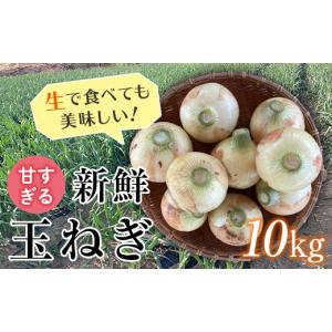 ふるさと納税 野菜類 玉ねぎ 群馬県 富岡市  2026年発送 先行予約 甘すぎる新鮮玉ねぎ 10kg（2026年6月20日〜6月30日頃出荷） 減農薬減 化学肥料 生食 たまね…