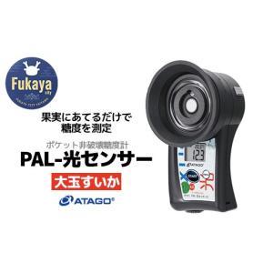 ふるさと納税 電化製品 埼玉県 深谷市 ポケット非破壊糖度計 PAL-光センサー32（大玉すいか）　 11218-0721