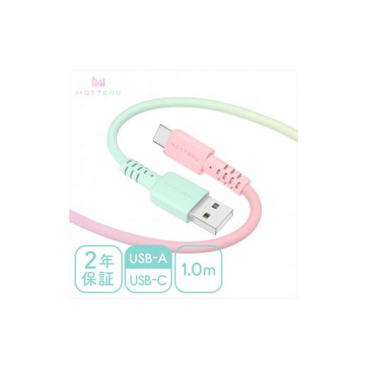 ふるさと納税 電化製品 神奈川県 海老名市 グラデーションケーブル USB-A to USB-C i...