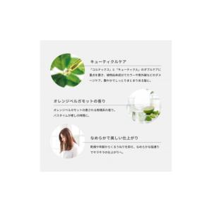ふるさと納税 美容 山梨県 富士吉田市 定期便...の詳細画像5