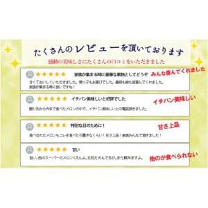 ふるさと納税 静岡県 浜松市 【6ヶ月定期便】...の詳細画像2